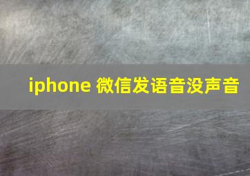 iphone 微信发语音没声音